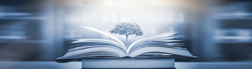 鼠的来历